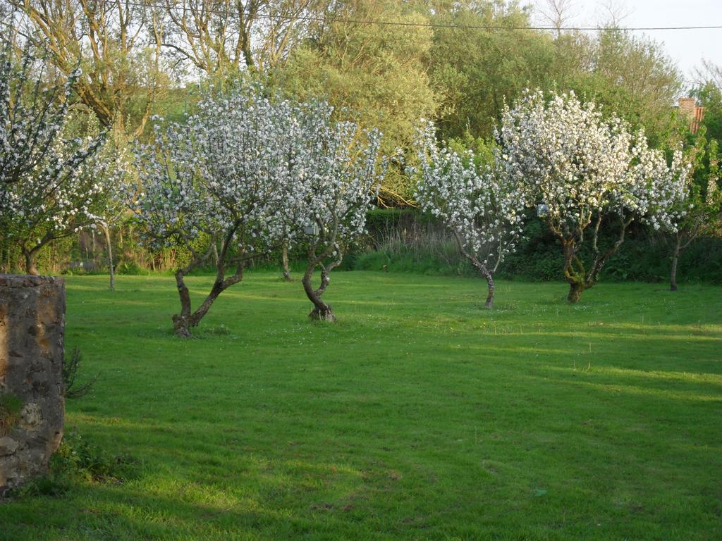 Domaine De La Ronville